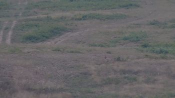 Красія 18 серпня 2019 року, 2019-08-18 10:00