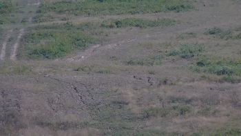 Красія 19 серпня 2019 року, 2019-08-19 16:00