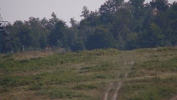 Красія 20 серпня 2019 року, 2019-08-20 16:00