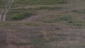 Красія 22 серпня 2019 року, 2019-08-22 10:00