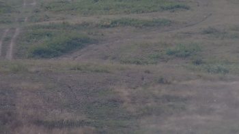 Красія 23 серпня 2019 року, 2019-08-23 10:00