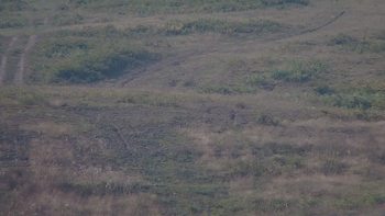 Красія 25 серпня 2019 року, 2019-08-25 10:00