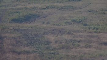 Красія 27 серпня 2019 року, 2019-08-27 10:00