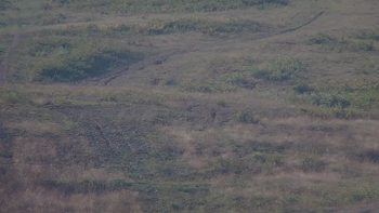 Красія 28 серпня 2019 року, 2019-08-28 10:00