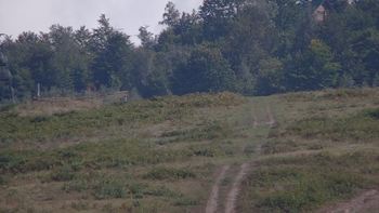 Красія 28 серпня 2019 року, 2019-08-28 16:00