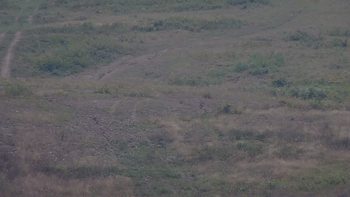 Красія 29 серпня 2019 року, 2019-08-29 13:00