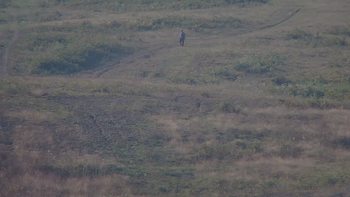 Красія 30 серпня 2019 року, 2019-08-30 10:00