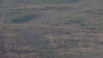 Красія 31 серпня 2019 року, 2019-08-31 10:00
