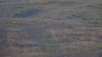 Красія 1 вересня 2019 року, 2019-09-01 10:00