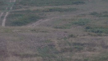Красія 2 вересня 2019 року, 2019-09-02 16:00