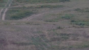 Красія 3 вересня 2019 року, 2019-09-03 10:00