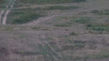 Красія 3 вересня 2019 року, 2019-09-03 13:00