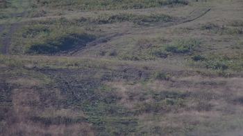 Красія 4 вересня 2019 року, 2019-09-04 10:00