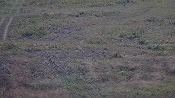 Красія 4 вересня 2019 року, 2019-09-04 13:00