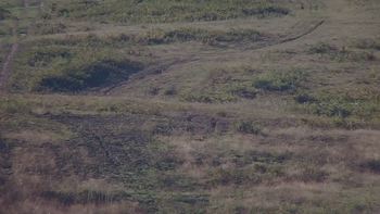 Красія 5 вересня 2019 року, 2019-09-05 10:00