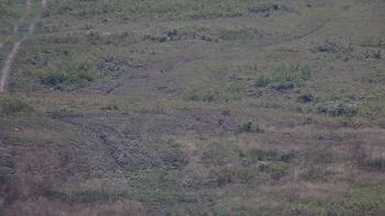 Красія 5 вересня 2019 року, 2019-09-05 13:00