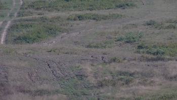 Красія 5 вересня 2019 року, 2019-09-05 16:00