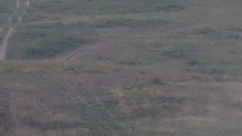 Красія 7 вересня 2019 року, 2019-09-07 10:00