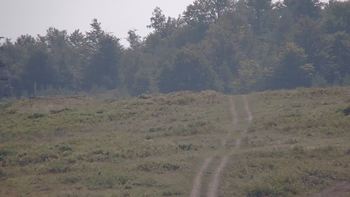 Красія 8 вересня 2019 року, 2019-09-08 13:00
