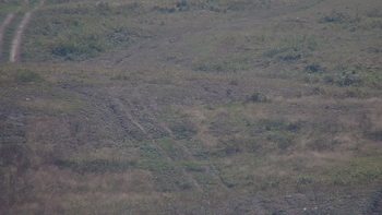 Красія 12 вересня 2019 року, 2019-09-12 13:00