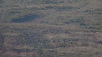 Красія 13 вересня 2019 року, 2019-09-13 10:00