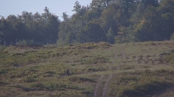 Красія 15 вересня 2019 року, 2019-09-15 10:00