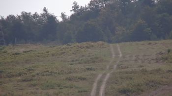 Красія 16 вересня 2019 року, 2019-09-16 13:00