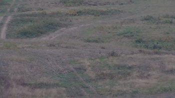 Красія 17 вересня 2019 року, 2019-09-17 10:00