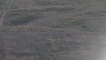 Красія 18 вересня 2019 року, 2019-09-18 10:00