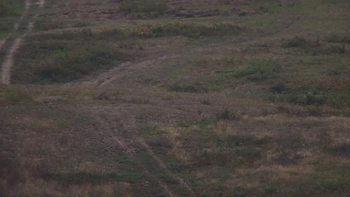 Красія 18 вересня 2019 року, 2019-09-18 13:00