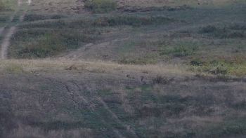 Красія 18 вересня 2019 року, 2019-09-18 16:00