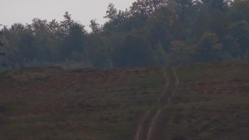 Красія 28 вересня 2019 року, 2019-09-28 16:00