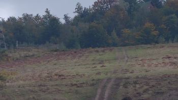 Красія 29 вересня 2019 року, 2019-09-29 16:00