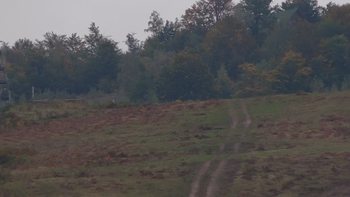Красія 30 вересня 2019 року, 2019-09-30 13:00
