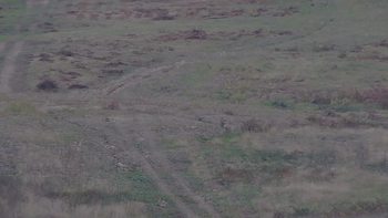 Красія 4 жовтня 2019 року, 2019-10-04 16:00