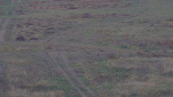 Красія 5 жовтня 2019 року, 2019-10-05 13:00