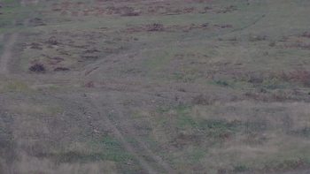 Красія 6 жовтня 2019 року, 2019-10-06 13:00