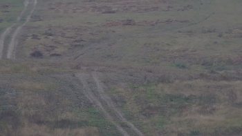 Красія 9 жовтня 2019 року, 2019-10-09 13:00
