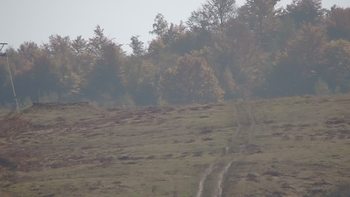 Красія 14 жовтня 2019 року, 2019-10-14 13:00