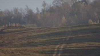 Красія 25 жовтня 2019 року, 2019-10-25 16:00