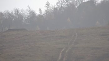 Красія 26 жовтня 2019 року, 2019-10-26 13:00