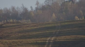 Красія 26 жовтня 2019 року, 2019-10-26 16:00
