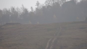 Красія 27 жовтня 2019 року, 2019-10-27 13:00