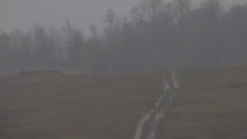 Красія 3 листопада 2019 року, 2019-11-03 13:00