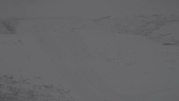Красія 8 грудня 2019 року, 2019-12-08 10:00