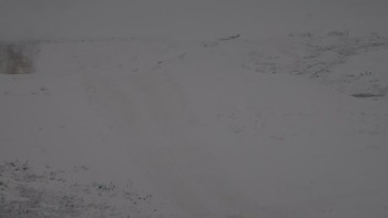 Красія 8 грудня 2019 року, 2019-12-08 13:00