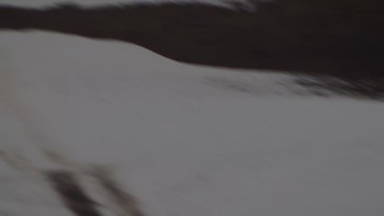 Красія 10 грудня 2019 року, 2019-12-10 16:00