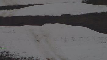 Красія 14 грудня 2019 року, 2019-12-14 10:00