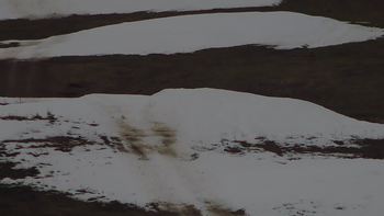 Красія 17 грудня 2019 року, 2019-12-17 10:00