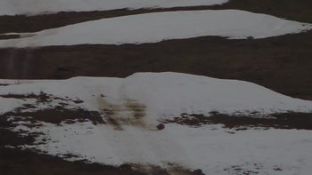 Красія 17 грудня 2019 року, 2019-12-17 16:00